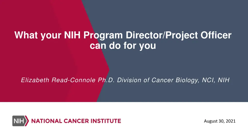 what your nih program director project officer