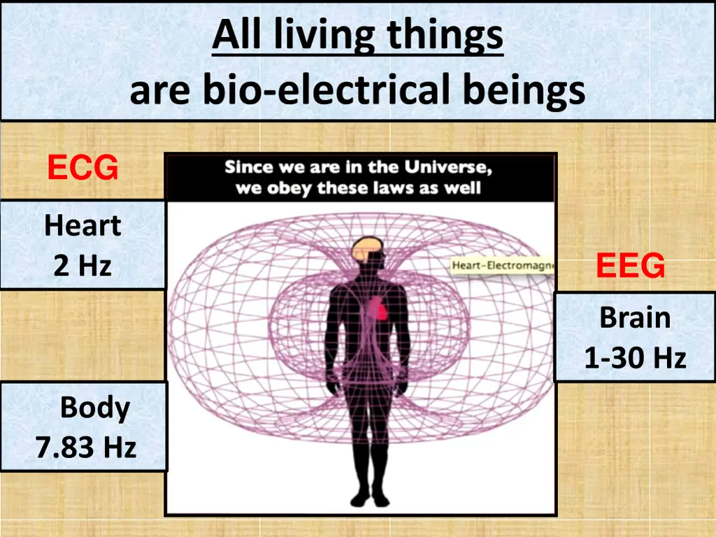 all living things are bio electrical beings