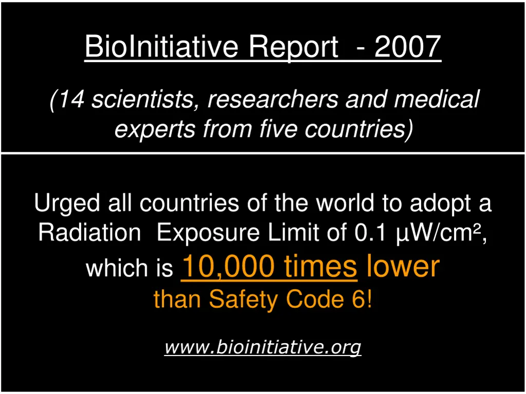bioinitiative report 2007