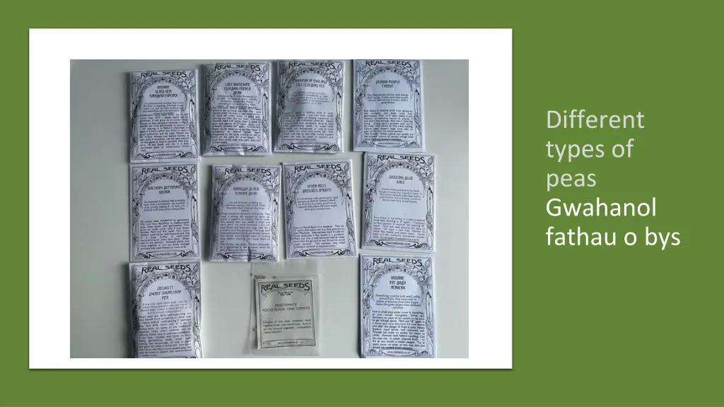 different types of peas gwahanol fathau o bys
