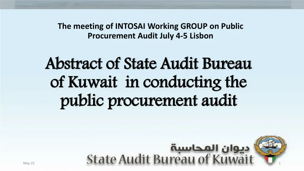 the meeting of intosai working group on public