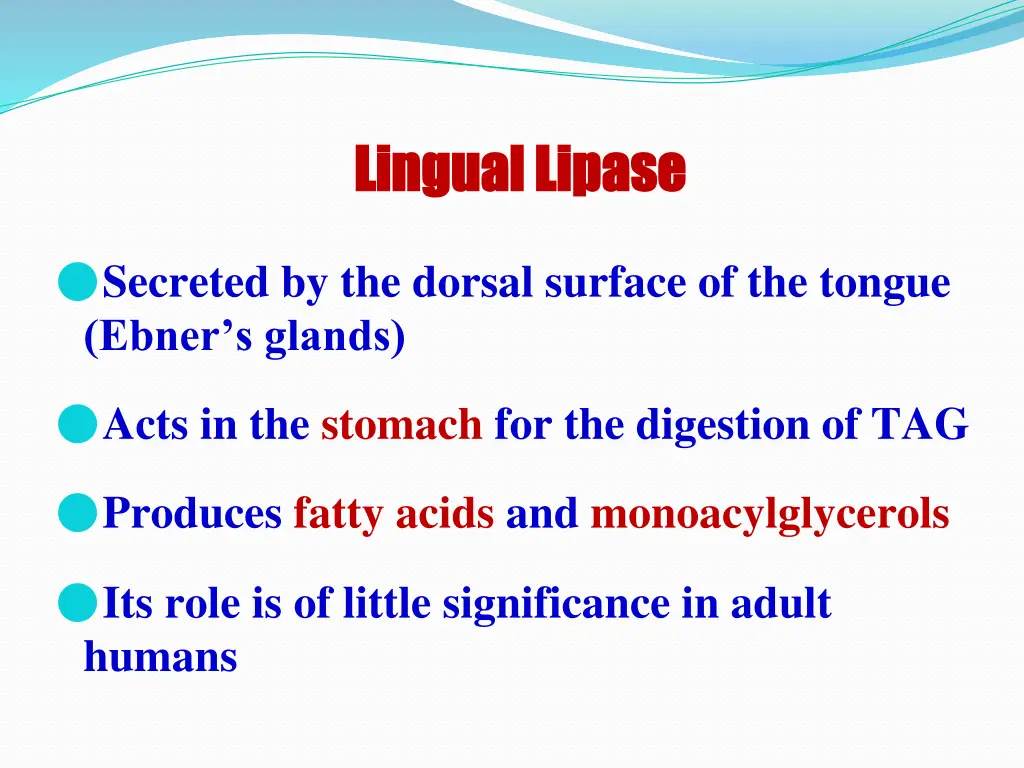 lingual lipase lingual lipase