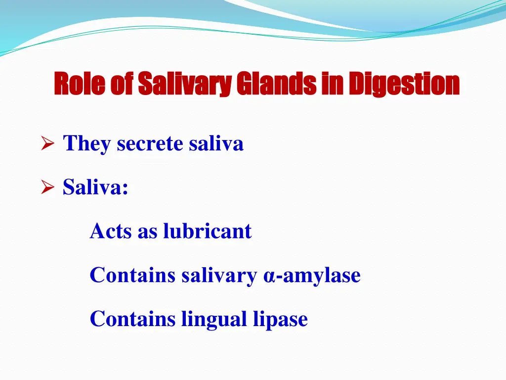 role of salivary glands in digestion role