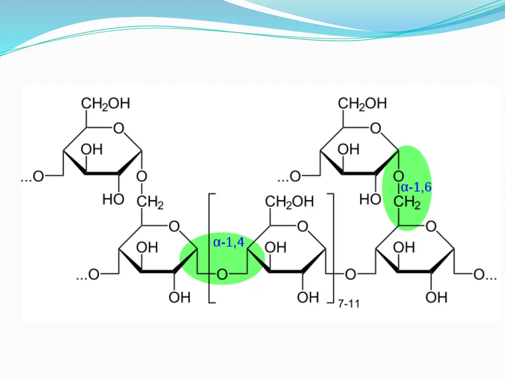 slide12