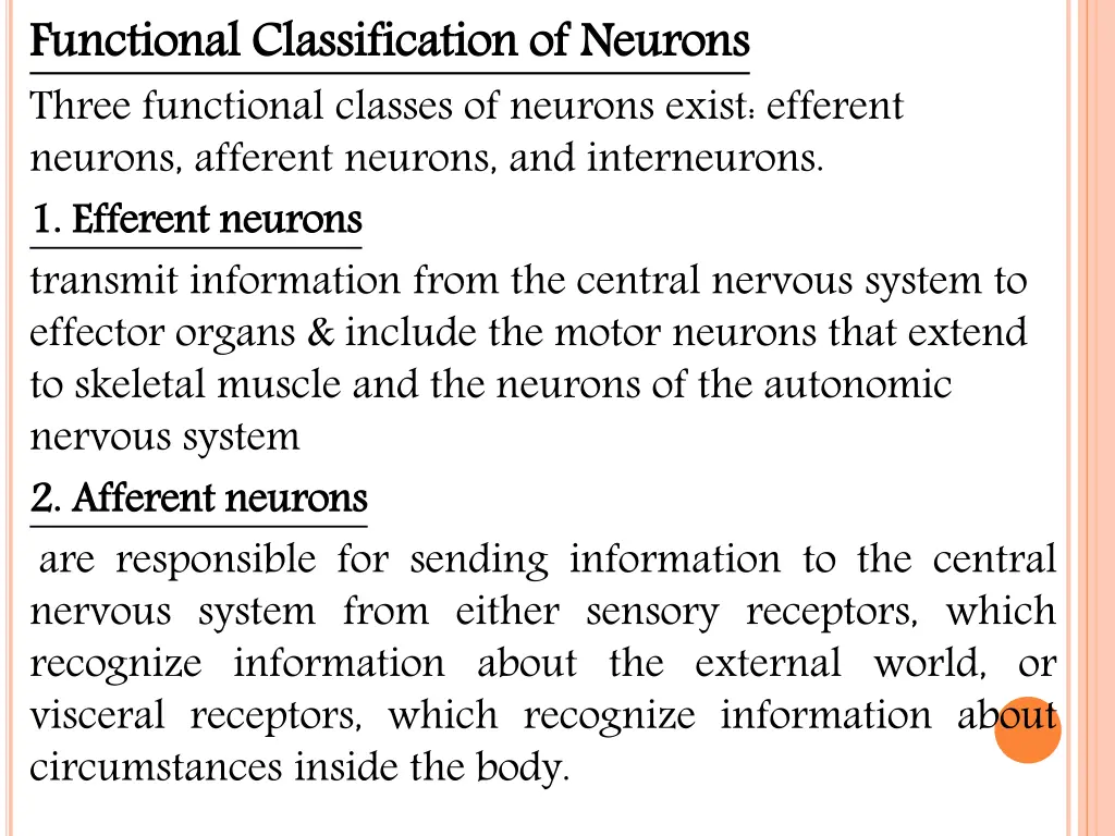 functional classification of neurons three