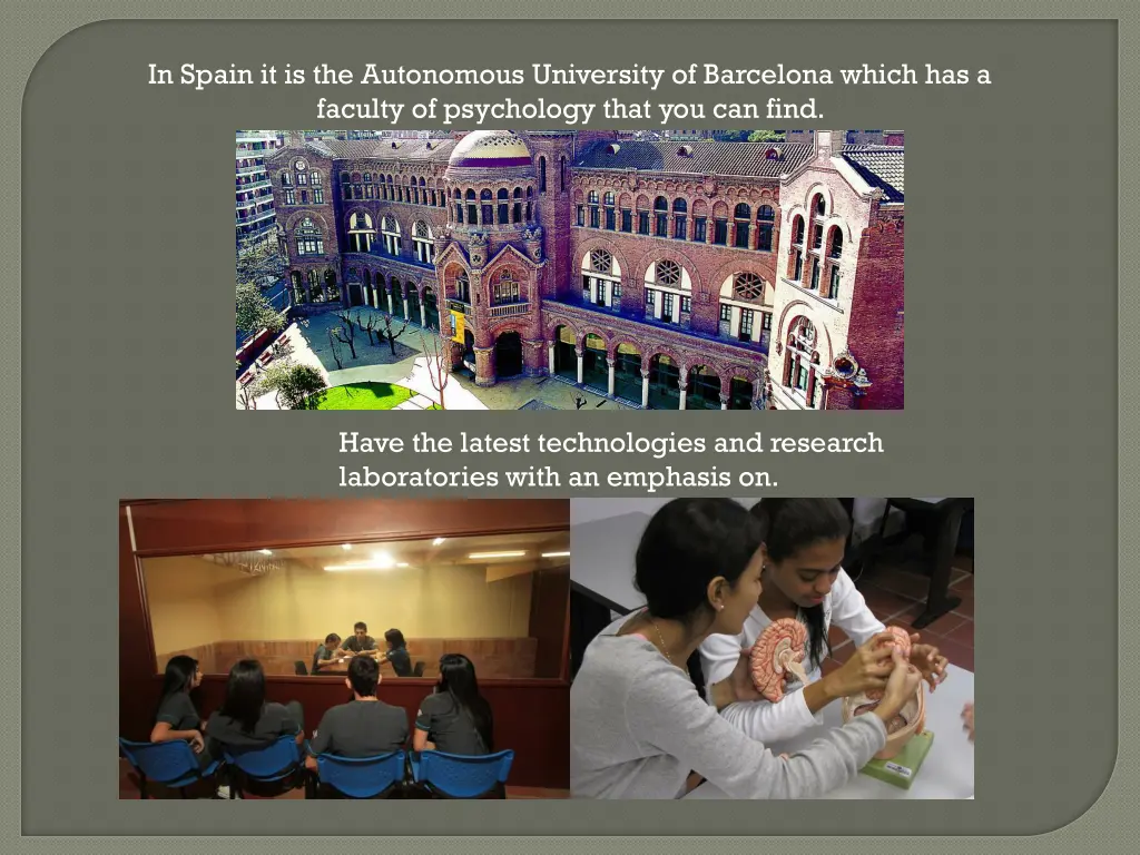 in spain it is the autonomous university
