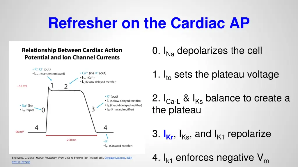 refresher on the cardiac ap