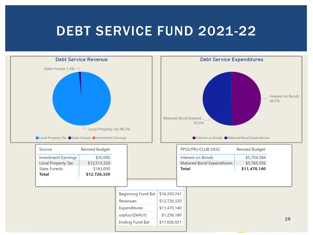debt service fund 2021 22