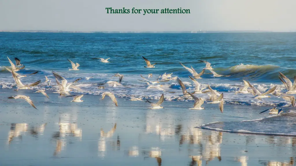 thanks for your attention