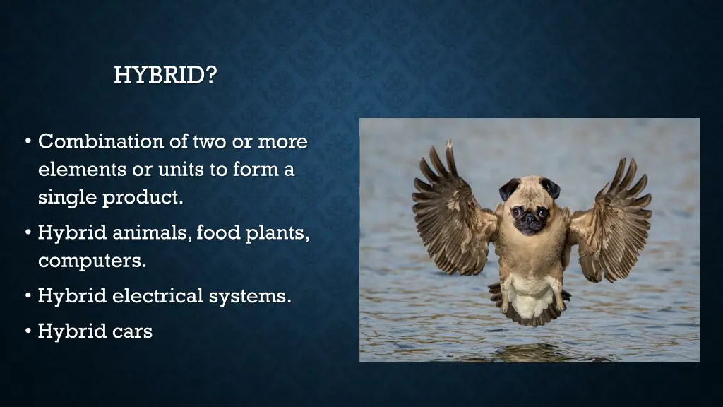 hybrid