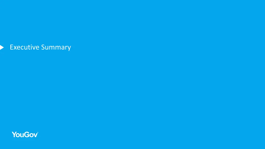 executive summary