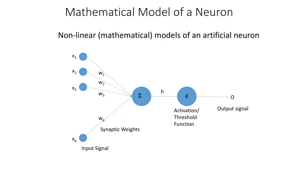 mathematical model of a neuron