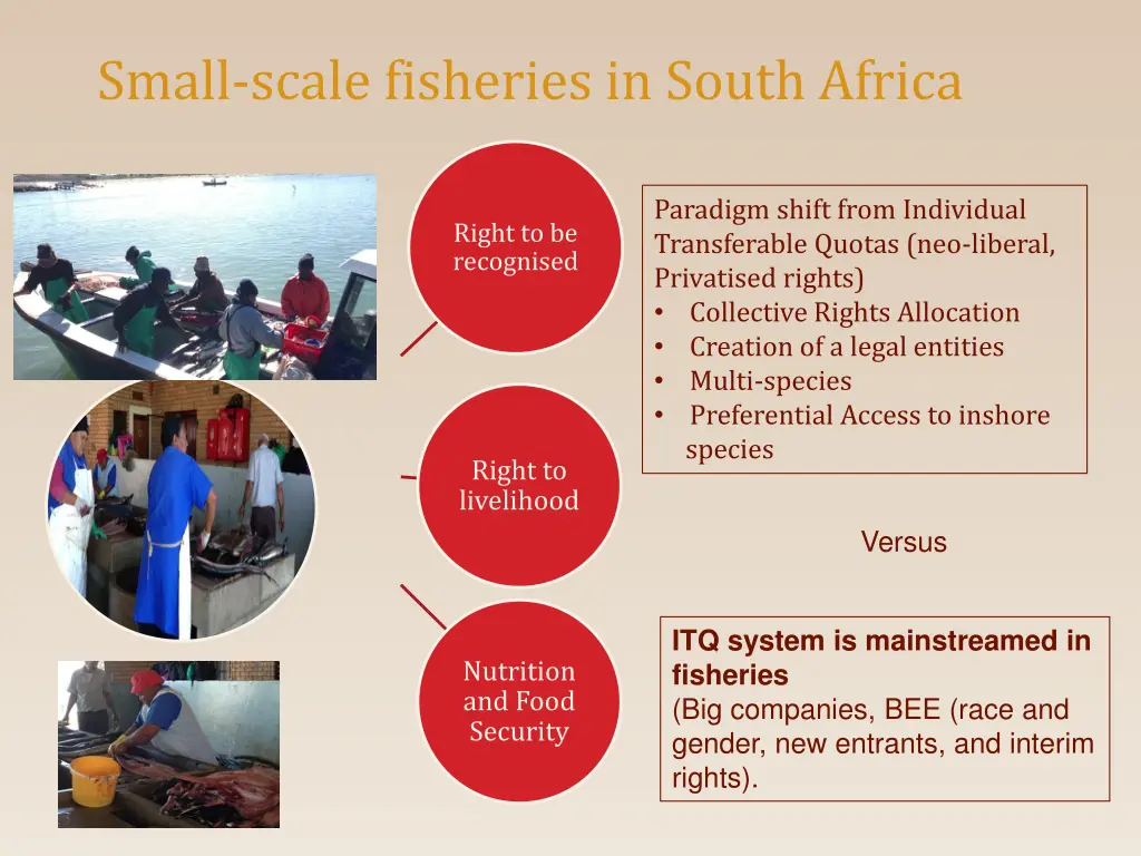 small scale fisheries in south africa
