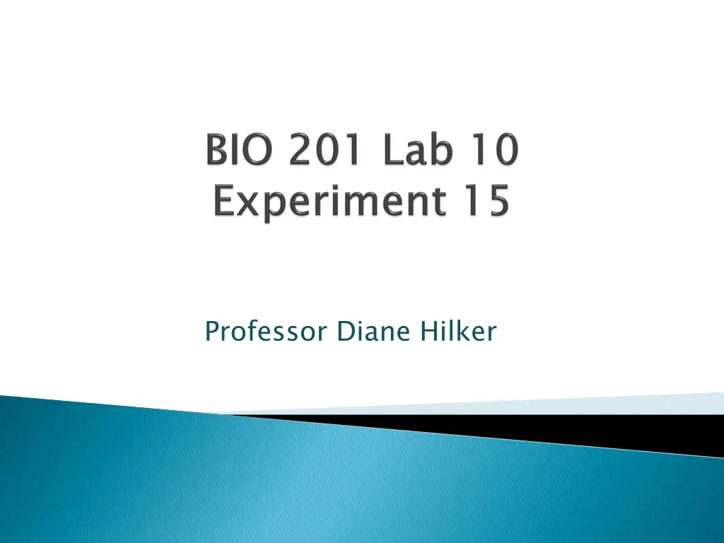 professor diane hilker 1