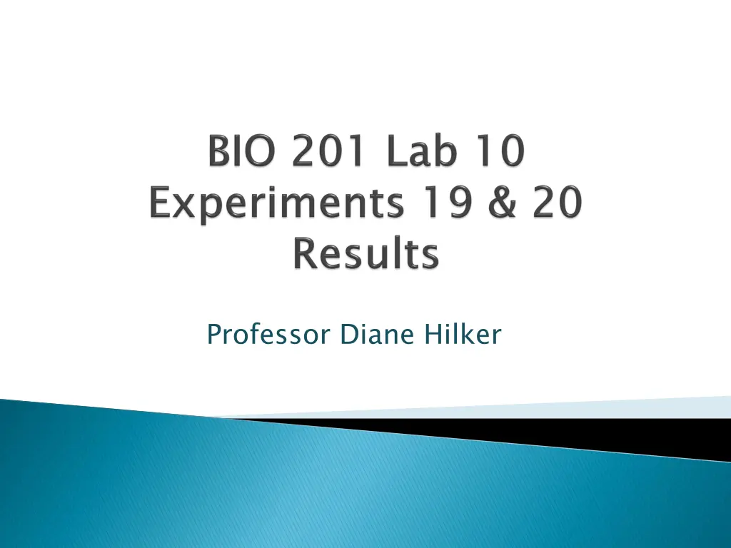 professor diane hilker