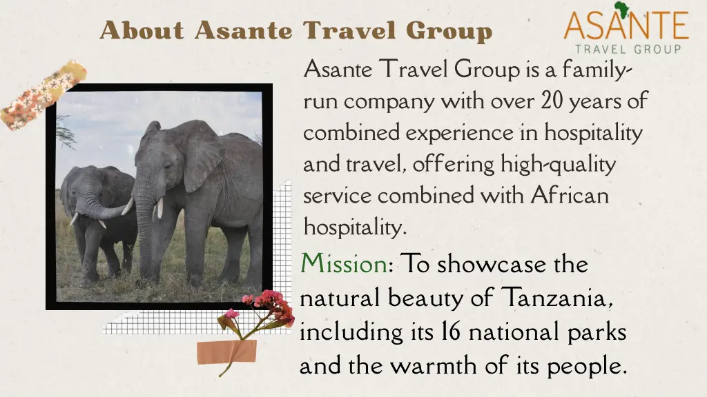 about asante travel group
