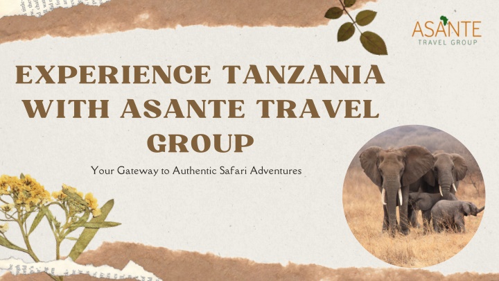 experience tanzania with asante travel group your