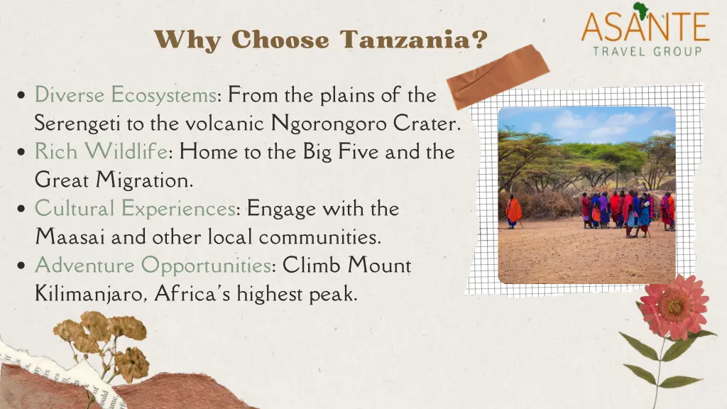 why choose tanzania