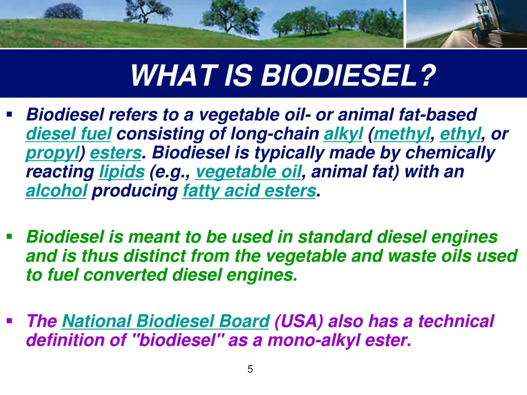 what is biodiesel