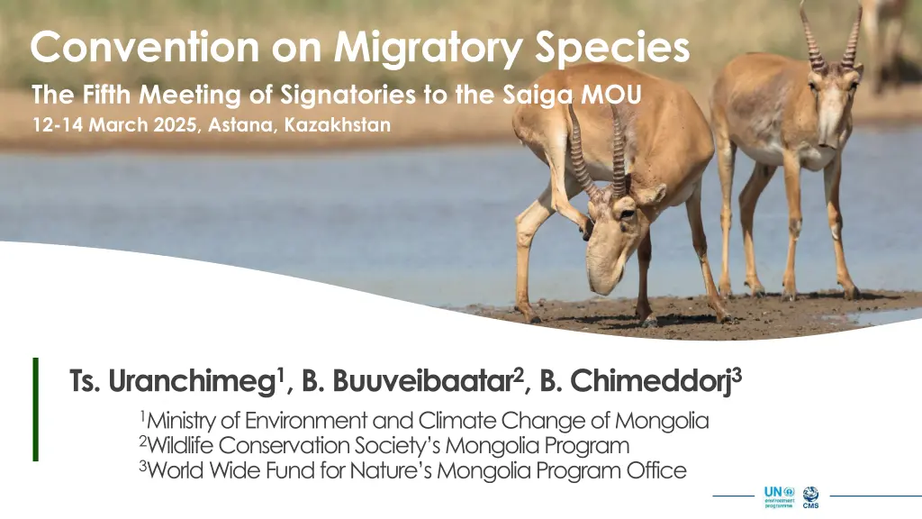 convention on migratory species the fifth meeting