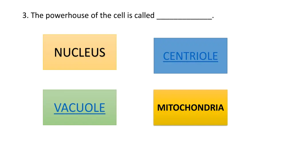 3 the powerhouse of the cell is called
