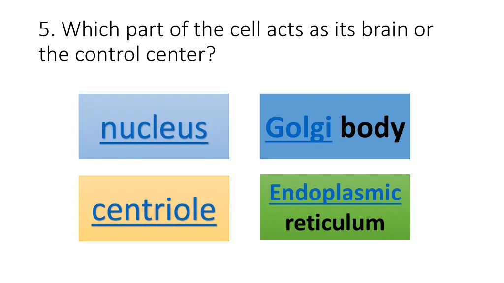 5 which part of the cell acts as its brain