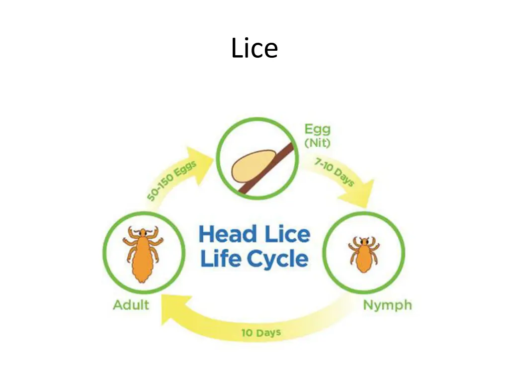 slide2