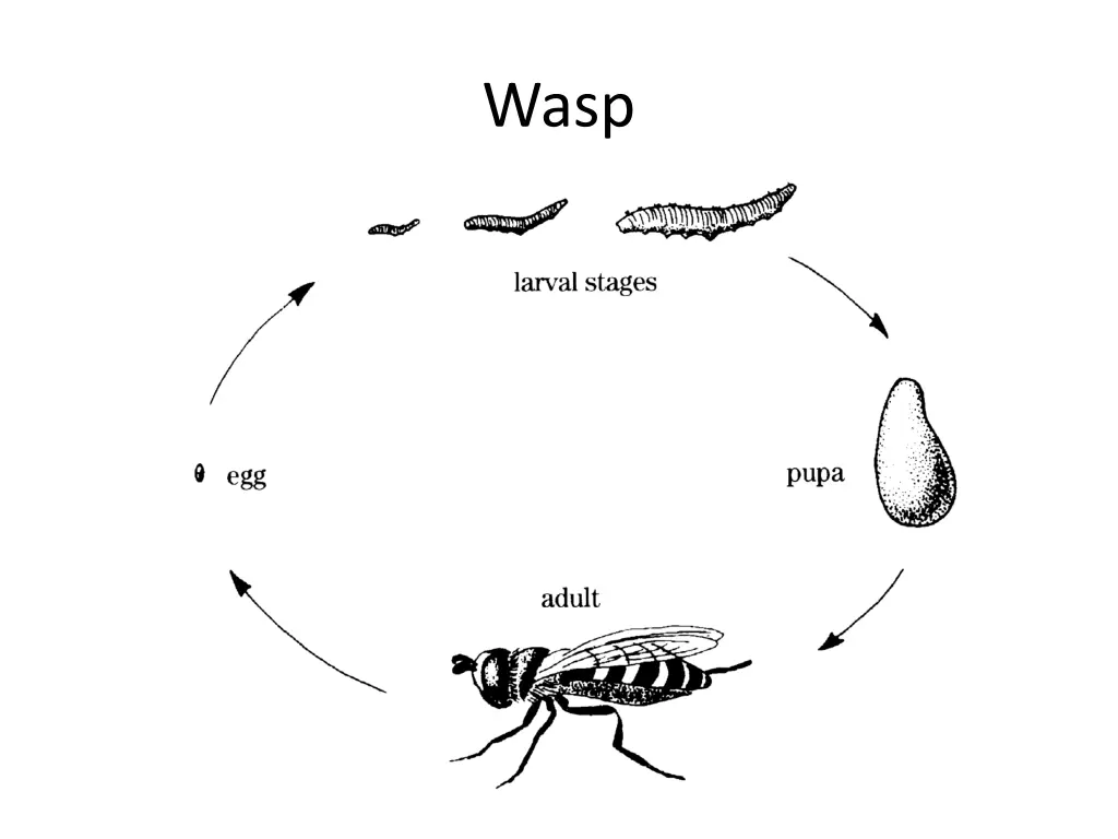 slide6