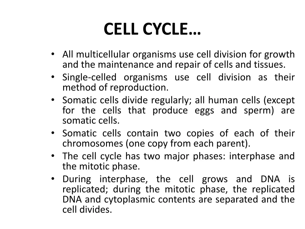 cell cycle 1