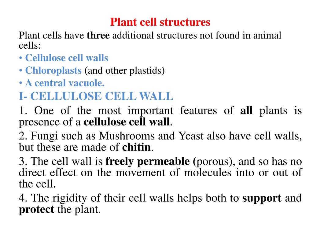 plant cell structures