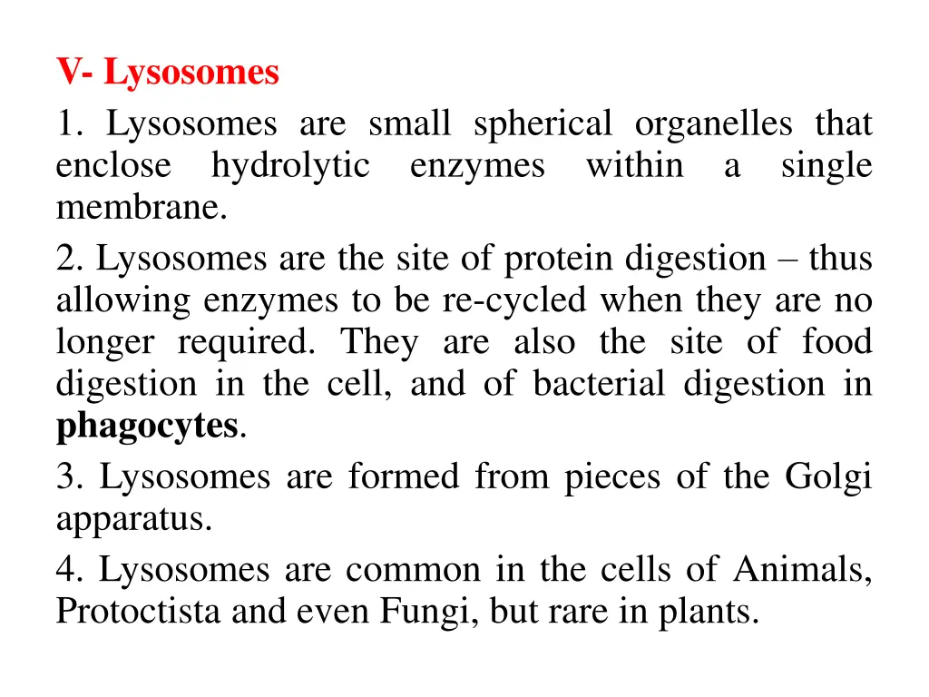v lysosomes 1 lysosomes are small spherical
