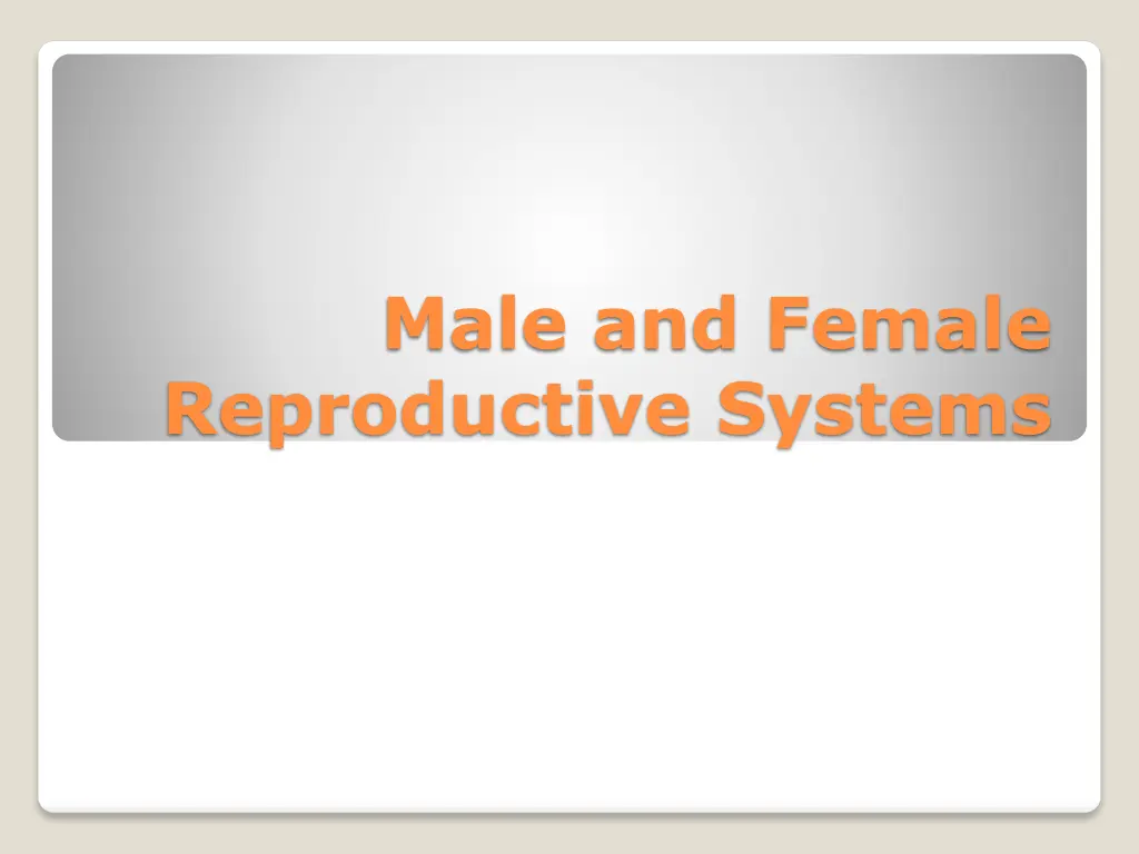 male and female reproductive systems