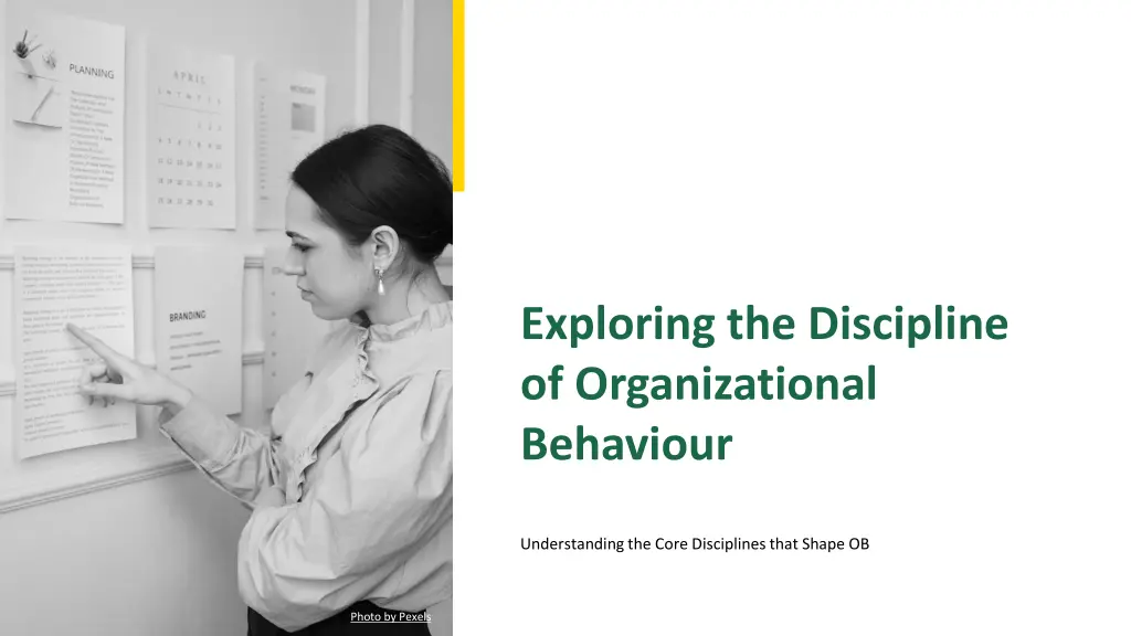 exploring the discipline of organizational