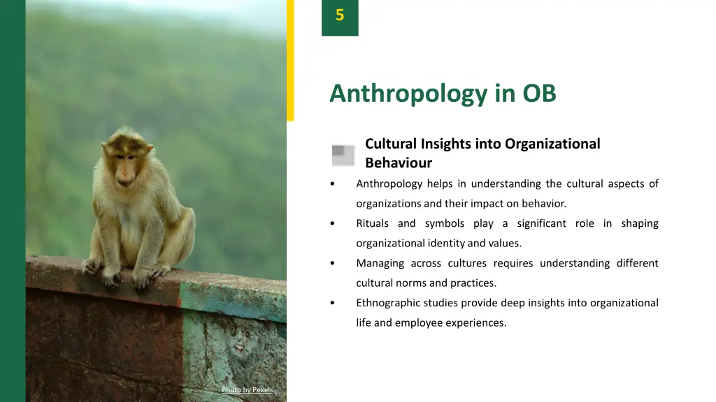 slide7