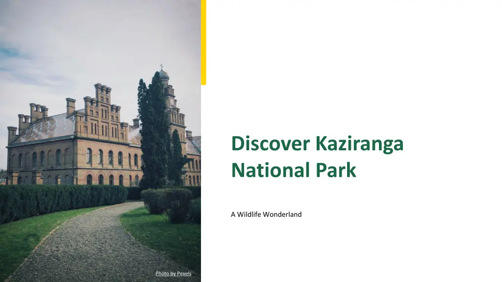 discover kaziranga national park