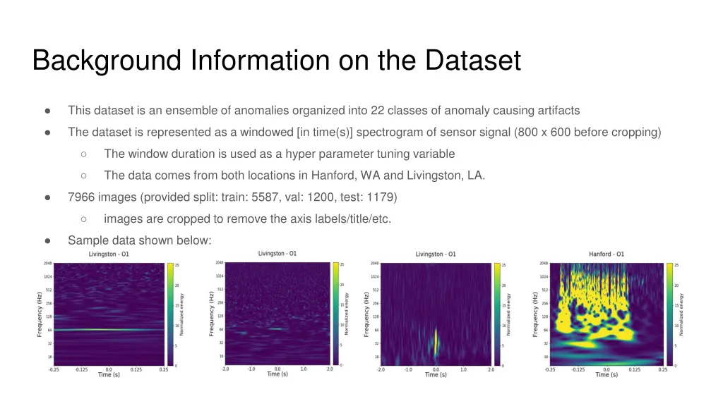 background information on the dataset