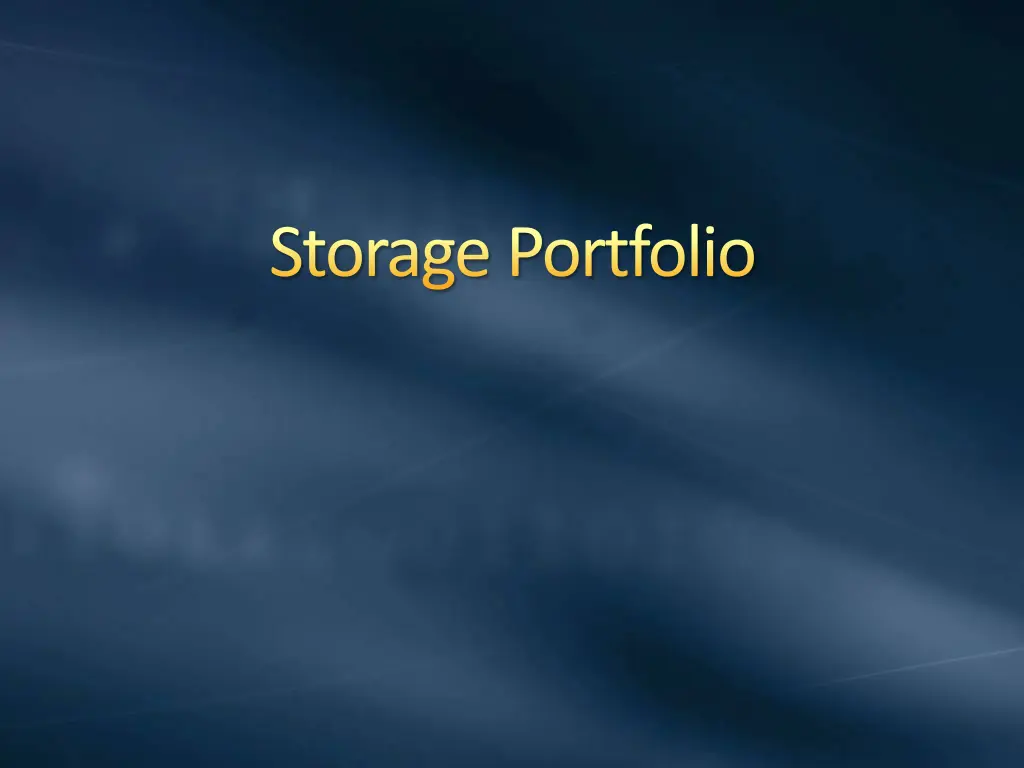 storage portfolio
