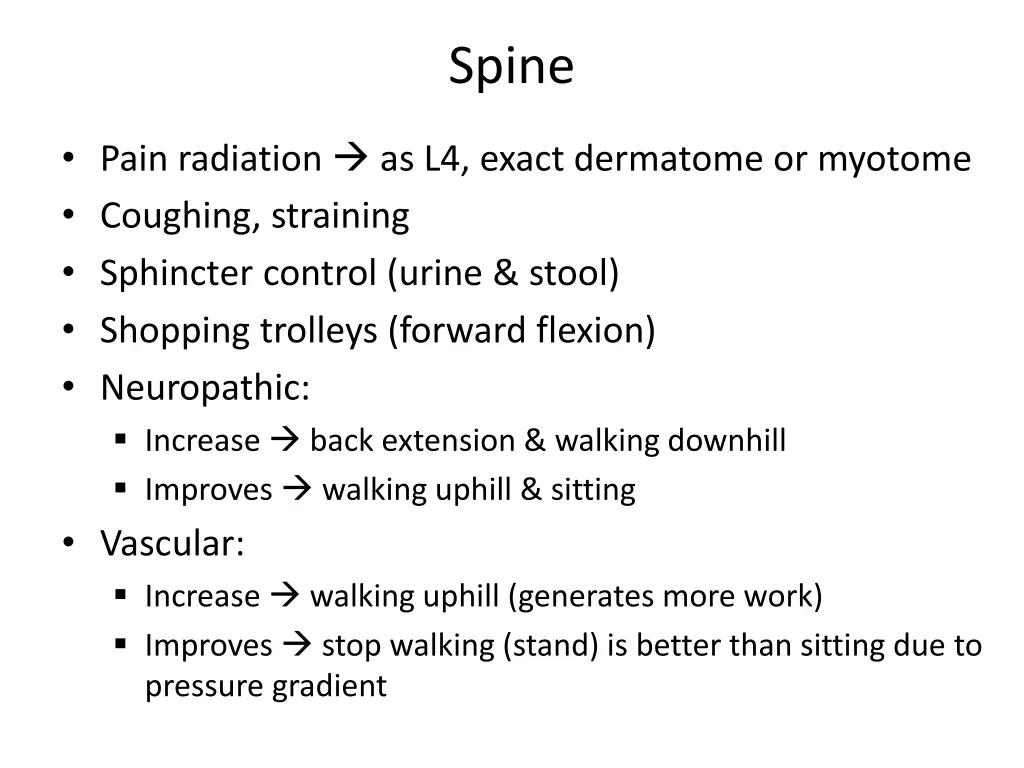 spine