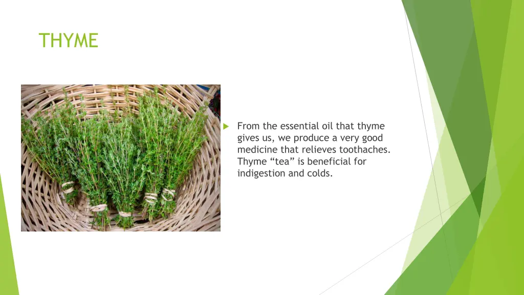 thyme 1