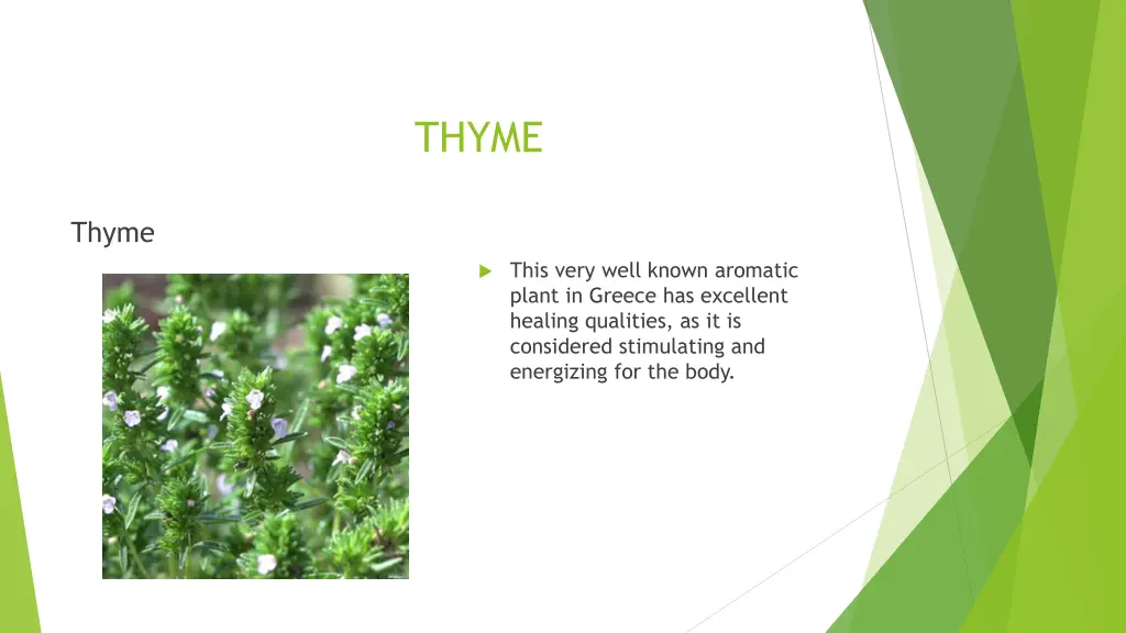 thyme
