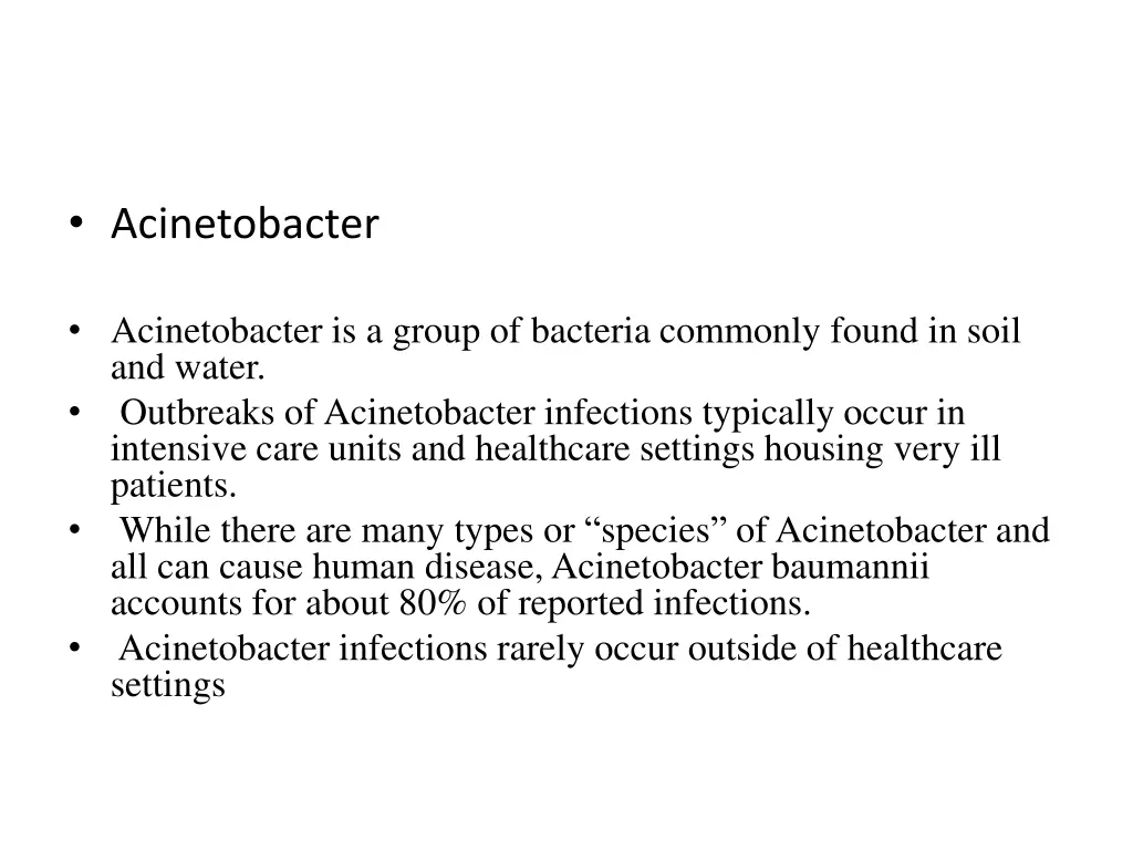 acinetobacter