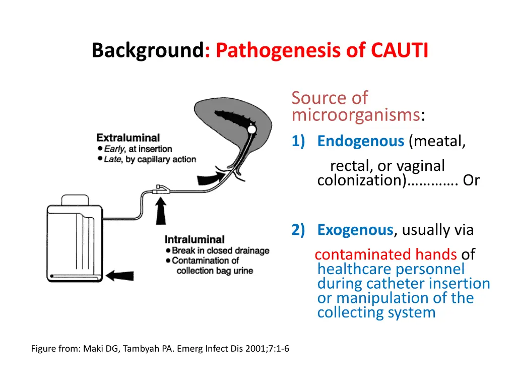 background pathogenesis of cauti