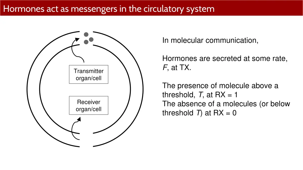 hormones act as messengers in the circulatory