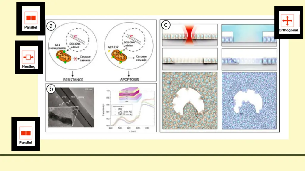 slide4