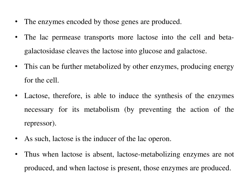 the enzymes encoded by those genes are produced