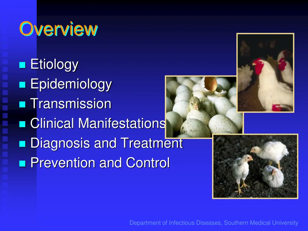 overview 1