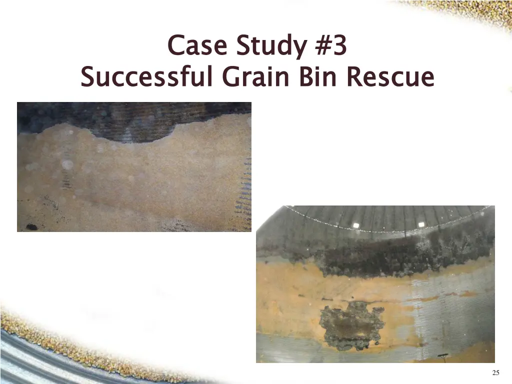 case study 3 successful