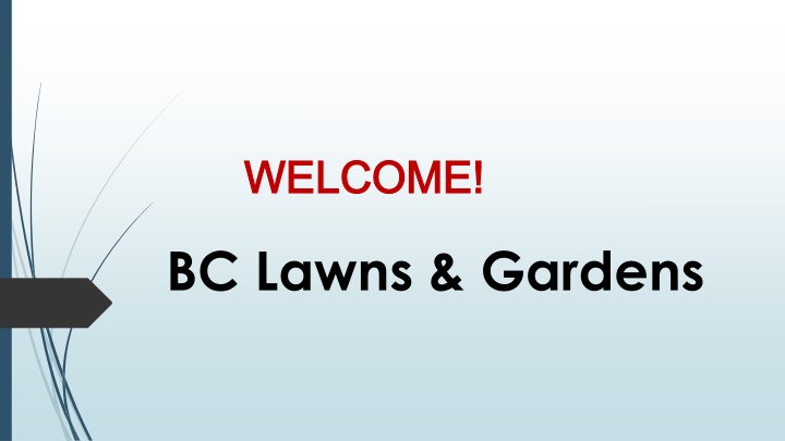 welcome welcome