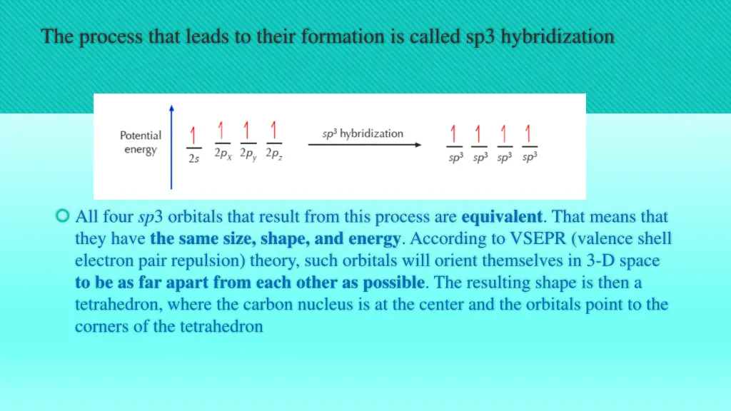 the process that leads to their formation
