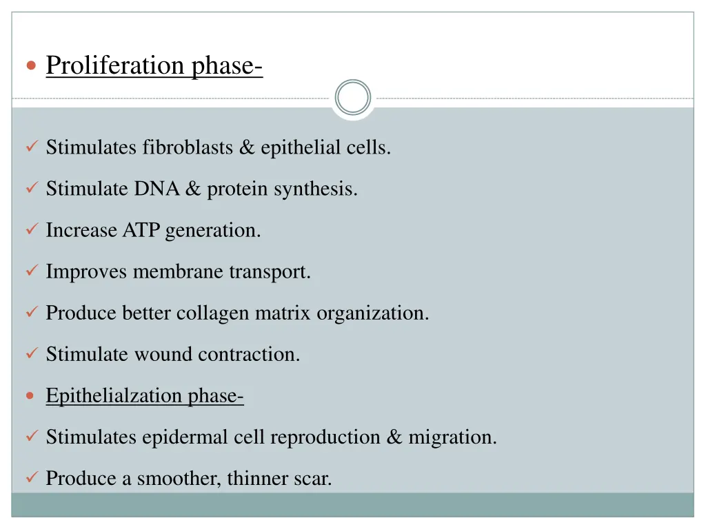 proliferation phase